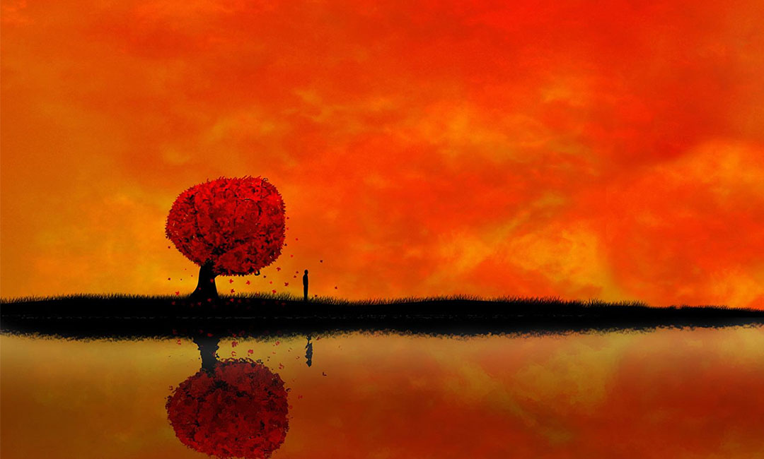 西藏笙影微信朋友圈转发案例